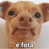 é fota