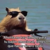 Animalitos para el chat pt.2💕 14