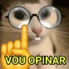 GATINHOS SHITPOST  8