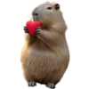 Capybara 🌻 7