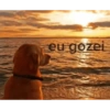 eu gozei