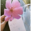Flores e casais🌷🌹💘💖 9