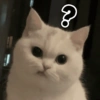 ?
