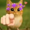 Meowl Michi cute 🥺🩷✨ 11