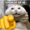 Tengoklah tuh HA