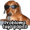 Problema tuyo papito