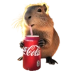 Capybara 🌻 15