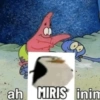 ah MIRIS inim