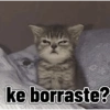 ke borraste?