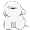Beloni cute dog - Perro 12