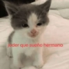 joder que sueño hermano