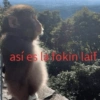 😎 STICKERS SHITPOST 19 🤙 11