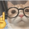 O