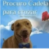 Procuro Cadela para cruzar Sem compromisso