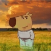 🫨🫨🫨 8