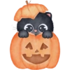Gatos Halloween🎃 25