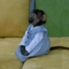 Macaquinhos  15
