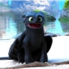 Toothless  10