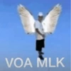 Meme e Shitpost 20