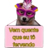 Placas de carnaval quente🔥🔥 7