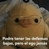 Animalitos para el chat pt.2💕 10