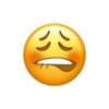 Os emojis mais usados 😜 5