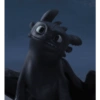 Toothless  14
