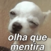 Esse menino eu não sei não 10
