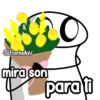 @FlorksilaV mira son para li