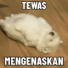 TEWAS MENGENASKAN