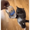 Aaaaaaaa 24