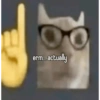 Ball cat 15