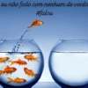 Aleatório: PT2 8