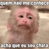 🕶 Reação Viral Tiktok Duplinha 20