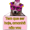 Placas de carnaval quente🔥🔥 8