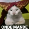 ONDE MANDE