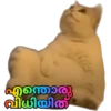 കാങ്കോൽ അഷ്‌റഫ്‌ 8