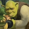 Memes Shrek 💚 8