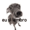 Vai um shitpost aí? 🔥🥴 13
