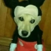 REAÇÕES ALEATORIAS 5