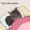 Akmal Cat oiia 8