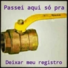 Zoações 8