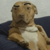Esse menino eu não sei não 15
