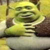 Memes Shrek 💚 15