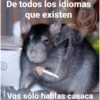 De todos los idiomas que existen Vos sólo hablas casaca