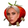 Meme da Lady Gaga 6
