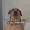 Para reagir | reações  13