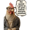 2026 25