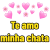 Te amo minha chata