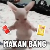 Coca-Cola Lays MAKAN BANG